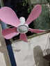 中聯(lián)（ZOLEE）小風(fēng)扇迷你微風(fēng)扇電風(fēng)扇小電扇臺(tái)扇夾扇壁扇家用辦公室學(xué)生宿舍床頭蚊帳 直徑28cm【扇葉11cm】粉 標(biāo)配 曬單實(shí)拍圖