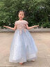 apfelbaum兒童禮服公主裙高端女童鋼琴演出服洋氣花童小主持人生日晚禮服春 灰藍色無(wú)袖長(cháng)款 130 曬單實(shí)拍圖