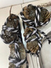 活蟹大閘蟹3兩特大全母蟹去繩足重興化紅膏蟹現(xiàn)貨鮮活海鮮水產(chǎn) 2.3-2.0兩8只【半價】 曬單實拍圖