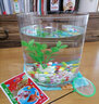 品云美寵 魚(yú)缸圓形玻璃桌面迷你小型金魚(yú)缸 20_20圓柱+彩石6件套 曬單實(shí)拍圖