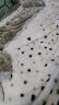九洲鹿家纺 拉舍尔毛毯冬季 6.6斤200x230cm米粽格 实拍图