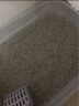 尚宝猫砂活性炭豆腐砂竹炭吸附除臭低尘易结团细砂5kg10斤装 实拍图