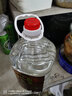 瀘界糧食酒 瀘州糯紅高粱5L桶裝52度高度濃香型白酒口糧酒泡酒 52度 5L 1桶 純糧原漿9N 曬單實(shí)拍圖