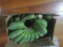 曜果广西香蕉 小米蕉   新鲜水果 生鲜 生果 小米蕉是小的 9斤 (需催熟后食用) 实拍图