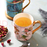 心飾園（XINSHIYUAN）馬克杯情侶款對(duì)杯骨瓷杯咖啡杯子創(chuàng)意杯早餐杯家用水杯帶蓋勺子 粉鳥(niǎo)馬克杯-配勺子 禮盒裝 曬單實(shí)拍圖