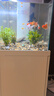 德克（D&A）蘭壽魚(yú)水草缸客廳立式魚(yú)缸一體缸自循環(huán)免換水大型生態(tài)底濾水族箱 肌膚白（標配款） 80x50x135cm 曬單實(shí)拍圖