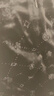 TCH2025新款滿(mǎn)鉆黑色圓領(lǐng)絲絨長(cháng)袖T恤百搭顯瘦打底衫T72C116081 黑色 XL 曬單實(shí)拍圖