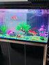 西龍中大魚(yú)缸客廳家用落地懶人生態(tài)免換水帶柜子一體自循環(huán)金魚(yú)水族箱 100CM魚(yú)缸+木地柜 曬單實(shí)拍圖