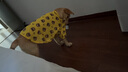 寵星記中型犬大狗衣服 夏裝夏款 寵物服裝 絲感涼涼衣 防曬衣 金毛薩摩 黃色笑臉 2號（胸圍65-72cm） 曬單實拍圖
