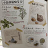 中国植物，很高兴认识你！（函套共4册）5-12岁儿童自然科普绘本图鉴家门外的自然课 实拍图