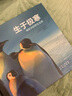生于極寒 南極洲的野生生物 曬單實(shí)拍圖