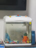 森森（SUNSUN）鱼缸水族箱桌面生态金鱼缸玻璃迷你小型客厅懒人免换水家用缸 (高清玻璃)白300+海底世界景 带20件套 实拍图