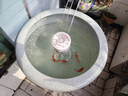 漁師傅陶瓷魚(yú)缸過(guò)濾器金魚(yú)缸瓷缸瓦缸過(guò)濾器噴泉造景圓缸過(guò)濾內置過(guò)濾器 雪山斜側出水-適合4152cm水深 曬單實(shí)拍圖