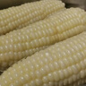 有機(jī)匯有機(jī)糯玉米 香甜軟糯煮食玉米 新鮮現(xiàn)摘 有機(jī)種植無(wú)農(nóng)殘 寶寶輔食 500g 曬單實(shí)拍圖