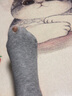 俞兆林打底褲女連褲襪棉質(zhì)春秋冬季修身顯瘦加絨保暖打底襪子 豎條紋連腳褲襪淺灰 250克加絨80-140斤 曬單實(shí)拍圖