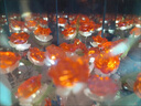 詩素漫八邊形玫瑰花魔方花海小夜燈手工制作diy材料包生日禮物送女友520 粉色玫瑰花20朵材料包 自己做含教程無禮袋 曬單實拍圖