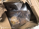 每麗時刻胖東來品質(zhì)文玩青皮核桃野生手把件四座樓白獅子頭虎頭官帽蘋果園 帶皮50-52mm發(fā)10個(+工具) 曬單實拍圖