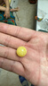 藏鴻閣 天然俄料白花蜜蠟圓珠雞油黃隔珠猴頭金剛星月菩提手串鏈diy配飾 蜜蠟圓珠/ 直徑約16mm帶證書 曬單實拍圖
