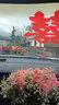 迪想（DIXIANG）結婚婚車(chē)裝飾車(chē)頭花套裝花車(chē)拉花婚車(chē)隊迎親新娘車(chē)飾布置用品結婚 婚車(chē)車(chē)貼10張 曬單實(shí)拍圖
