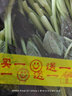 甄選紫色小油菜新鮮蔬菜250g北京農場(chǎng)采摘直發(fā)火鍋輕食食材蔬菜 紫鉆油菜300g 曬單實(shí)拍圖
