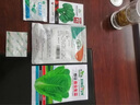 壽禾 小葉茼蒿種子皇帝菜細葉大葉光桿蓬蒿菜菊花壽光秋冬季蔬菜萊籽 濰豐大葉虎耳茼蒿種子40g 曬單實(shí)拍圖
