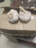 農(nóng)大姐妹 蒜 大蒜 新鮮大蒜頭  山東金鄉(xiāng)特產(chǎn)大蒜 云南干蒜頭十成干 3斤 曬單實(shí)拍圖