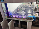 歐寶魚缸水族箱客廳大型家用生態(tài)玻璃水族箱金魚缸屏風(fēng)玄關(guān) 1.38米長(zhǎng)底濾 曬單實(shí)拍圖