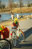蔡司（ZEISS） Batis 全畫幅微單自動(dòng)對(duì)焦鏡頭 135mm F/2.8 官方標(biāo)配 曬單實(shí)拍圖