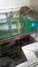 森森魚(yú)缸殺菌燈水族箱內置潛水式魚(yú)池UV紫外線(xiàn)殺菌燈凈水除水發(fā)綠青苔 曬單實(shí)拍圖