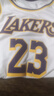 耐克NBA官方-湖人詹姆斯男球衣籃球服速干運動(dòng)背心夏季DO9530-508 湖人-詹姆斯速干球衣（白色） XL 曬單實(shí)拍圖