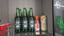 喜力经典500ml*12瓶整箱装 喜力啤酒Heineken 实拍图