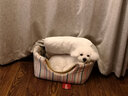 愛犬島香波寵物狗狗沐浴露美國進(jìn)口洗燥液狗護(hù)毛素 20號蜂王漿浴液1000ml+50號護(hù)毛素1000 曬單實(shí)拍圖