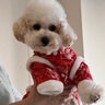 憨憨寵新年唐裝狗狗棉衣服冬季比熊小型犬衣服寵物泰迪衣服冬季過(guò)年四腳 新年裝白邊唐裝 M號建議體重5-7斤 曬單實(shí)拍圖