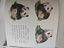 【多年級(jí)可選】四川省中小學(xué)生暑假閱讀大賽 小學(xué)低段組一二年級(jí)課外閱讀推薦 少先隊(duì)閱讀大賽 長(zhǎng)征的故事逆行者烈火英雄少年時(shí)代月亮上的環(huán)形山錢學(xué)森的故事我們的北斗爸爸的火車器成千年紙香震驚世界的創(chuàng)舉 震驚 曬單實(shí)拍圖