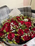浪漫季节鲜花速递同城配送33朵红玫瑰花束表白求婚女友老婆生日礼物全国 33朵红玫瑰-满天星B款 今日达-【可预约送花时间】 实拍图