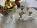 品来运 陶瓷杯子水杯套装冷凉水壶骨瓷耐热茶壶家用喝水具欧式客厅茶杯 茶花水具8件（6杯1壶+架子） 实拍图