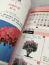 栽花種草 庭院種花與色彩搭配 花卉園藝栽培種植養(yǎng)護色彩搭配庭院綠化新手四季養(yǎng)花零基礎學養(yǎng)花 曬單實拍圖