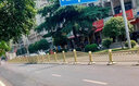 世騰市政蓮花道路護欄中央隔離欄城市人行道分流防護交通金色欄桿 1.2米高 曬單實拍圖