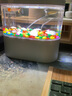 墨之瑤飼料顆粒適用斑馬魚(yú)孔雀魚(yú)紅箭魚(yú)瑪麗魚(yú)米奇魚(yú)小型魚(yú)觀(guān)賞魚(yú)燈科等 小型魚(yú)觀(guān)賞魚(yú)飼料1包(喂2個(gè)月左右) 曬單實(shí)拍圖