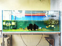鱗趣水族魚(yú)缸磁吸造浪沖浪泵迷你底吹造浪器吹浪泵吹糞泵環(huán)流泵 造浪泵3W 曬單實(shí)拍圖