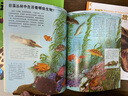 動物王國大探秘：全12冊（3-6歲幼兒園科普玩轉科學百科故事書） 曬單實拍圖