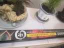 馬印神燈金龍魚(yú)燈魚(yú)缸潛水燈LED防水紅龍?jiān)銎G三基色水族發(fā)色燈固色燈 馬印神燈【紅龍?jiān)銎G型9000K】【142cm】 曬單實(shí)拍圖