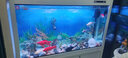 閩江中大型金魚(yú)缸上過(guò)濾水族箱鞋柜儲物懶人免換水長(cháng)方形家用客廳魚(yú)缸 白色 長(cháng)120x寬30x缸高73.5+柜高74 曬單實(shí)拍圖