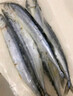 賣(mài)魚(yú)七郎特大號秋刀魚(yú)新鮮海捕秋刀魚(yú)冷凍海秋刀燒烤食材500g/包 秋刀魚(yú)1斤-5斤（每斤約4-7條） 秋刀魚(yú) 2斤/2包 曬單實(shí)拍圖
