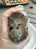 北皇海參鮮食海參高品質(zhì)大連底播即食遼刺參四斤裝2000g禮盒 滋補(bǔ)送禮 4斤裝* 8A 5-6頭/斤 每頭10-12cm 四斤裝 曬單實(shí)拍圖