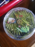 NORVIR金滴黃粉細菌感染水質(zhì)處理劑爛肉爛尾爛鰭金魚(yú)白點(diǎn)病魚(yú)缸水質(zhì)調節 金滴黃粉 曬單實(shí)拍圖