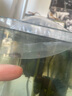 逸樂寵鴻運當頭羅漢苗活體亞成魚起頭觀賞魚泰國紅馬幻彩金花紅德薩斯 紅金花魚苗1條+防損1條 曬單實拍圖