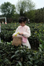 戴維貝拉（DAVE＆BELLA）童裝漢服裙子女童連衣裙小童網(wǎng)紗裙兒童連衣裙秋裝新款幼兒服裝 粉色 130 cm（建議身高120-130cm） 曬單實(shí)拍圖