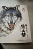【官方正版-京東配送】沈石溪動(dòng)物小說(shuō)系列全套5冊 兒童文學(xué) 狼王夢(mèng)畫(huà)本 四五六七年級課外書(shū)小學(xué)生課外閱讀書(shū)籍8一12歲兒童文學(xué)書(shū)籍 青少年讀物沈石溪的書(shū)全集兒童節童書(shū)節 全套5冊狼王夢(mèng)全集 曬單實(shí)拍圖