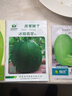 中科茂華瓜果蔬菜種子冰糖翡翠綠寶石甜瓜種子蘋(píng)果香瓜種子薄皮超甜糖度18 冰糖翡翠50粒/袋 曬單實(shí)拍圖